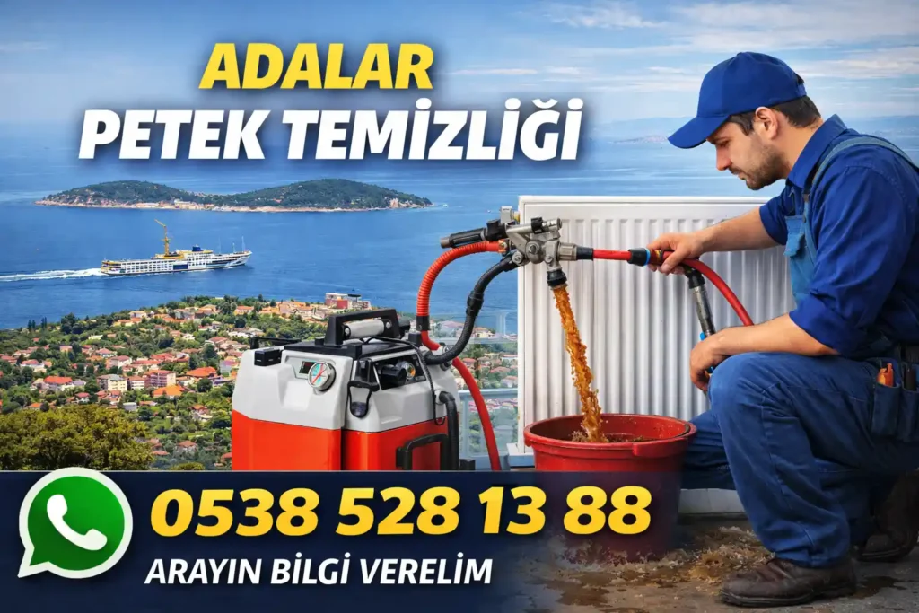 Adalar Petek Temizliği 6 Adalar Petek Temizliği